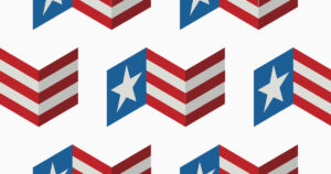 Amerikaanse verkiezingsjaar begonnen 239_Amerika_Volkskrant