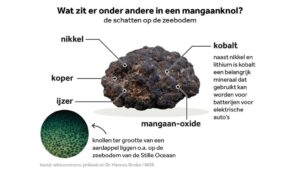 Oceaanbodem vol met leven 270_oceaan_NOSStijnPostmus