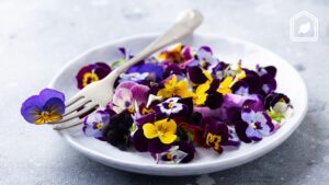 383_bloemen_AnnaPRTLN