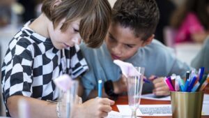 607_mobieltjes_ANPviaNOS