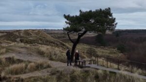 Eerste rouwpad op Terschelling 871_rouwpad_Lennard Jan Geerts via Omrop Fryslan